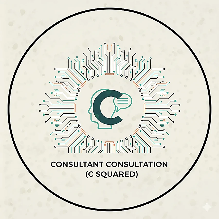 Consultants collaborating on methodology